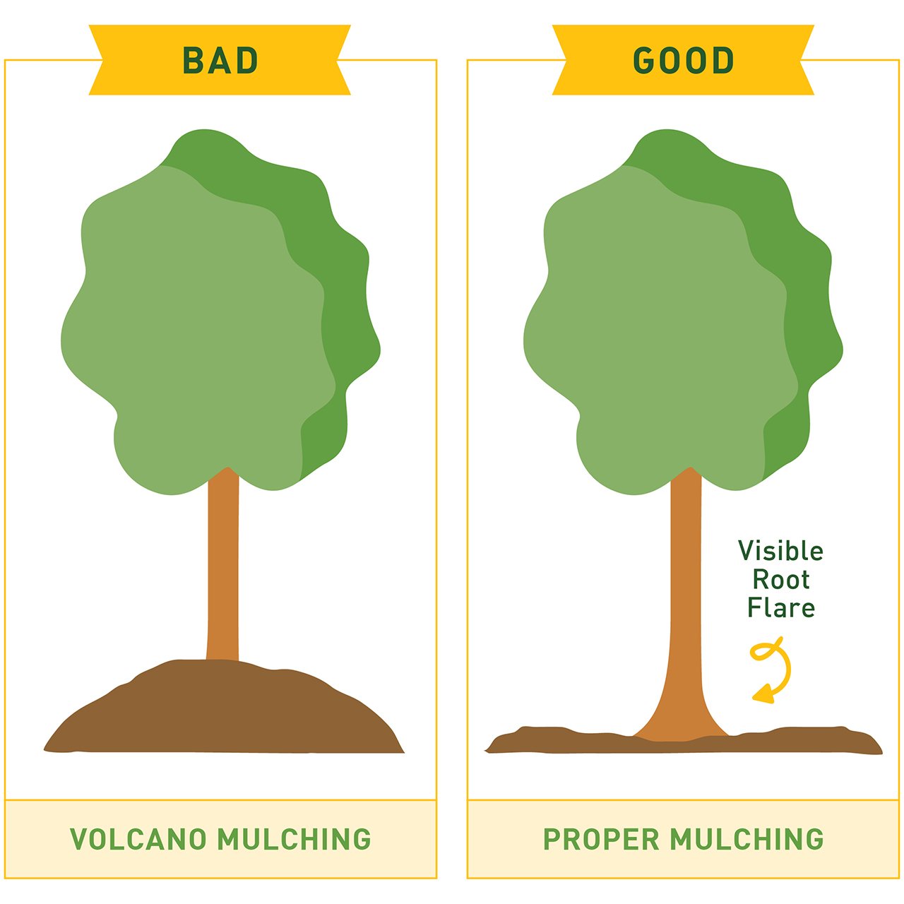 Will Putting Mulch Around A Tree Kill It?